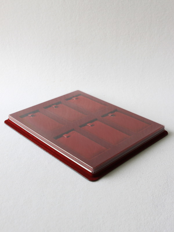 Планшет S (243х304х21 мм) на 6 ячеек (55х105х9 мм) (с флокированными вставками), тёмно-бордовый