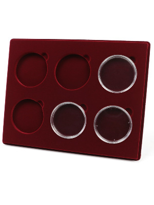 Планшет S (234х296х12 мм) для монет в капсулах d-74 мм (6 ячеек)