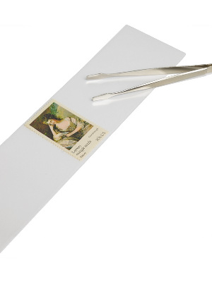 Клеммташи для марок HAWID 217х55 мм, прозрачные, упаковка 25 шт, 315368 (2055)