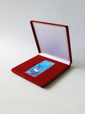 Футляр (165х165х27 мм) под монету Сочи в блистере,  светло-бордовый