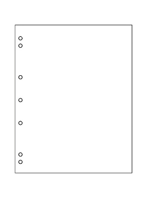 Прокладочные листы из картона формата NUMIS (187х224 мм). Упаковка из 10 листов. Leuchtturm, 336293