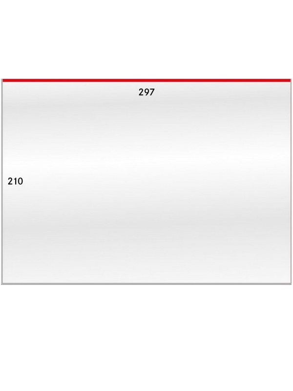 Листы-обложки для документов формата DIN A4 (297х210 мм). Упаковка 50 шт. Lindner, 873LP