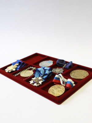 Планшет L (222х333х13 мм) на 8 ячеек (94х71х10 мм)