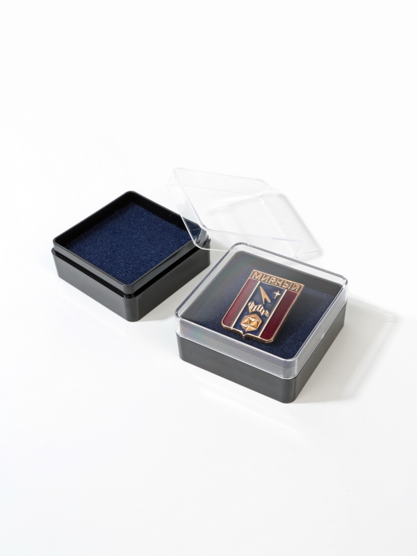 Пластиковый футляр (48х48х22 мм). Чёрное основание, прозрачная крышка, чёрный/синий