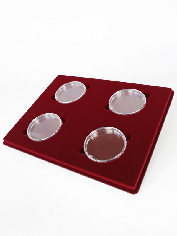 Планшет S (234х296х12 мм) для монет в капсулах d-74 мм (4 ячейки)