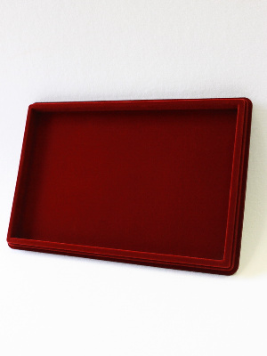 Планшет L (229х341х21 мм) на 1 ячейку (196х308х16 мм)