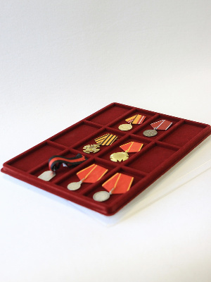 Планшет G (291х393х16 мм) на 12 ячеек (60х116х8 мм)