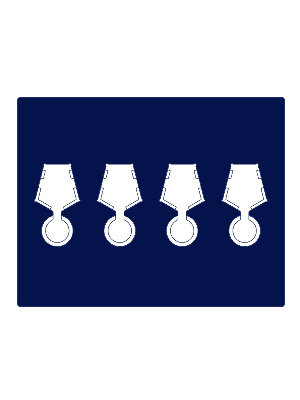 Футляр деревянный Volterra Uno (304х244х31 мм) на 4 медали РФ с пятиугольной колодкой d-32 мм