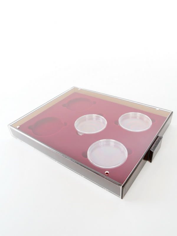  Кассета XL для 5 монет в капсулах d-74 мм, светло-бордовый