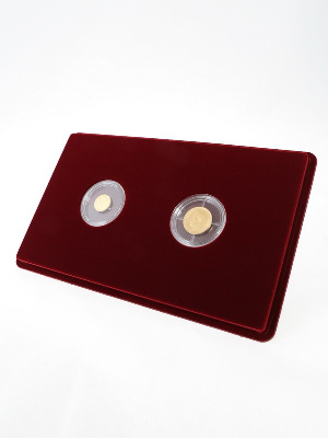 Планшет M (146х236х12 мм) для монет в капсулах d-44 мм (2 ячейки)