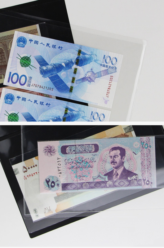 Листы-дисплеи без отверстий 5S (217х278 мм) двусторонние на 5 ячеек (210х49 мм). Упаковка из 10 листов. PCCB MINGT, 810569