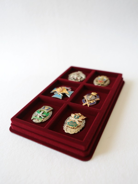 Планшет M (150х239х20 мм) на 6 ячеек (56х64х10 мм) (под знаки с винтом), тёмно-бордовый