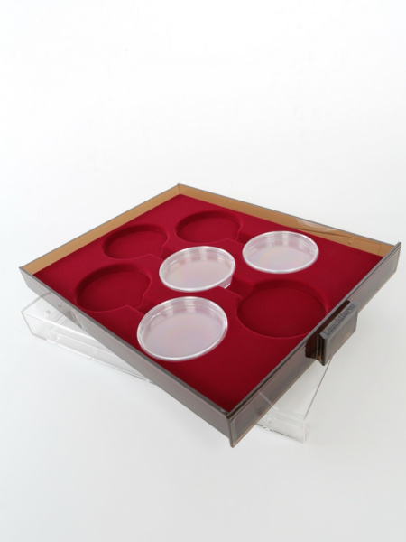  Кассета XL для 7 монет в капсулах d-74 мм, светло-бордовый